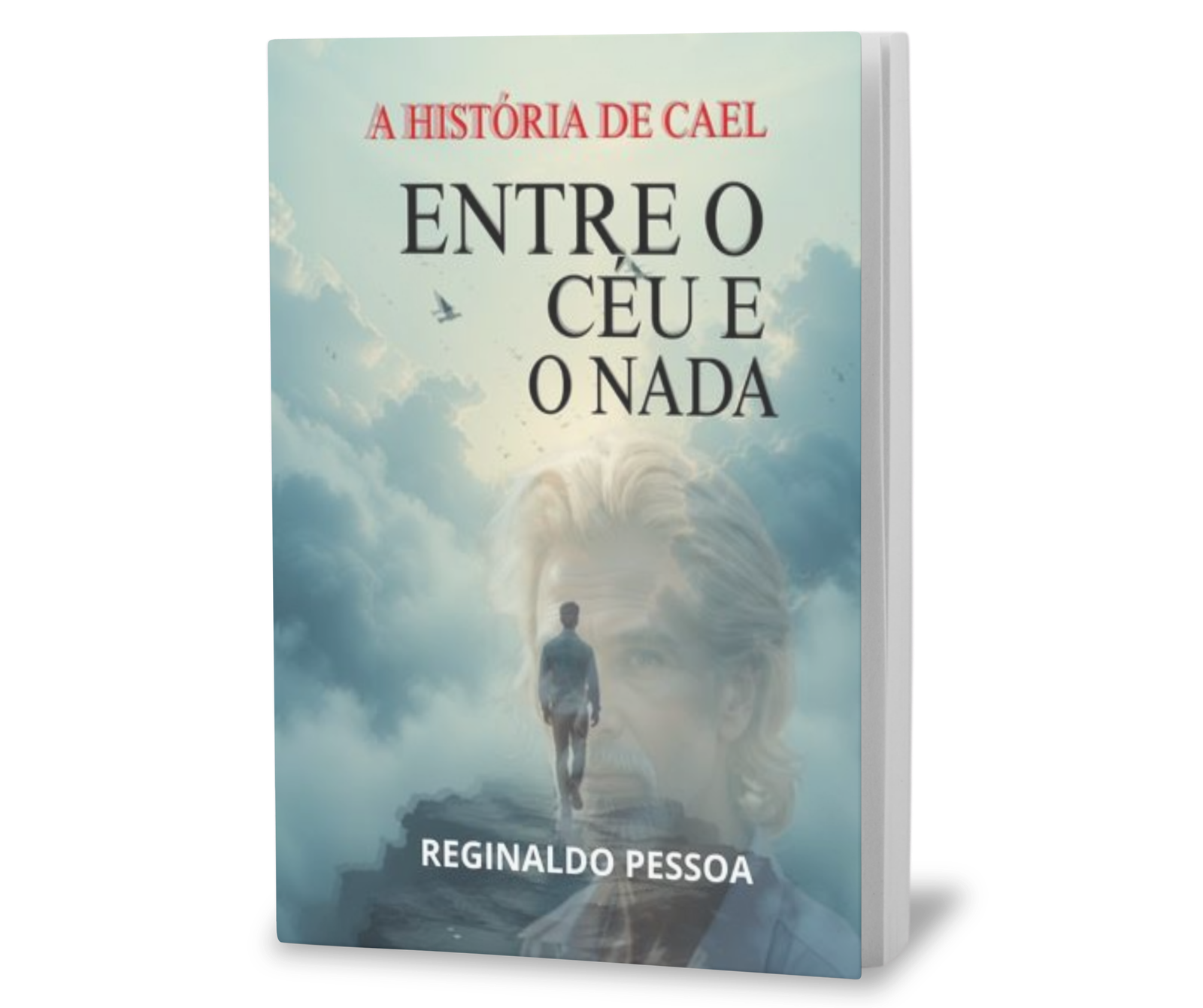 Capa do livro Entre o Céu e o Nada — Reginaldo Pessoa