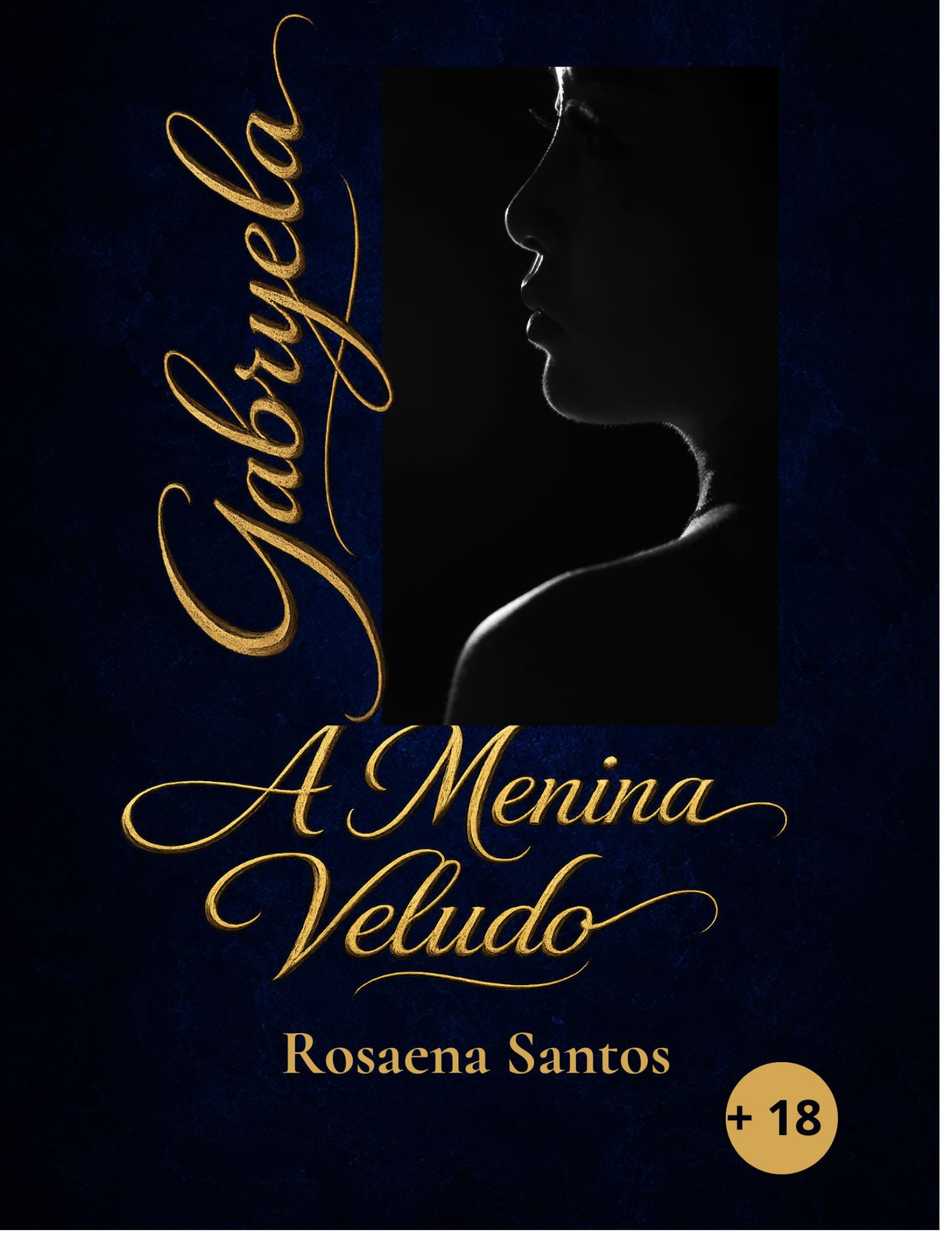 Capa do livro Gabryela A Menina Veludo — Rosaena Santos